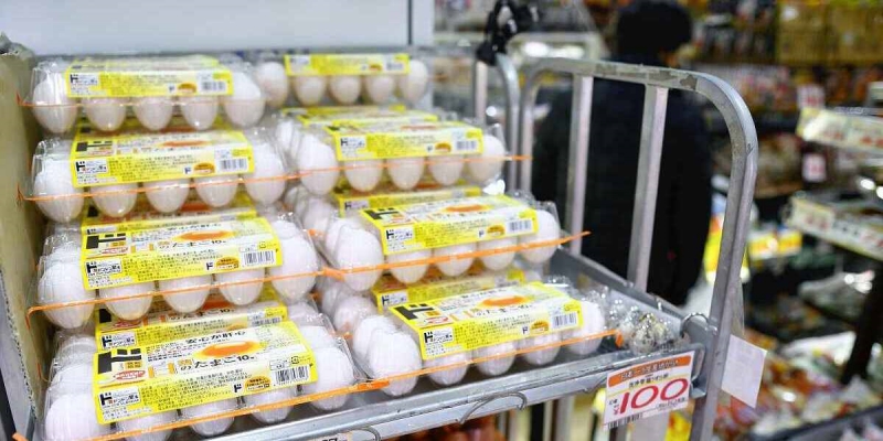 Gara-gara Pemusnahan Unggas Massal, Harga Telur di Jepang Meroket