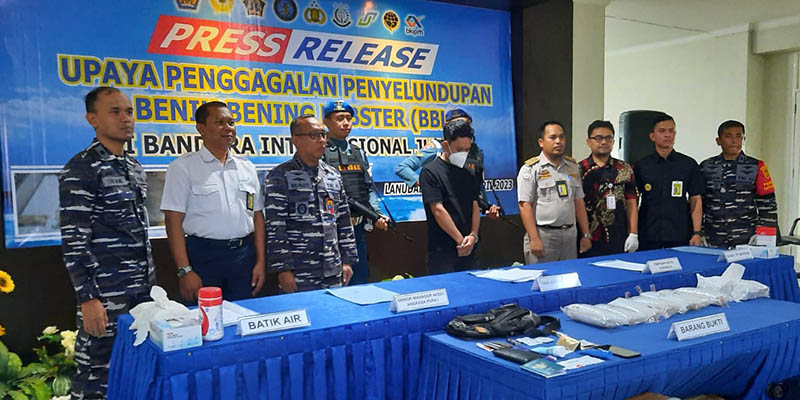TNI AL Gagalkan Upaya Penyelundupan Benih Lobster Senilai Rp 8 Miliar ke Malaysia dan Singapura