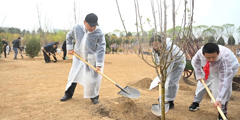 Tanam Pohon Bersama Siswa di Beijing, Xi Jinping Minta Rakyat China Perbanyak Penghijauan