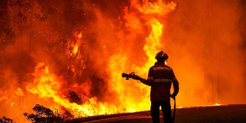 Api Melalap 3.700 Hektar Hutan di Spanyol Barat, 550 Warga Terpaksa Dievakuasi