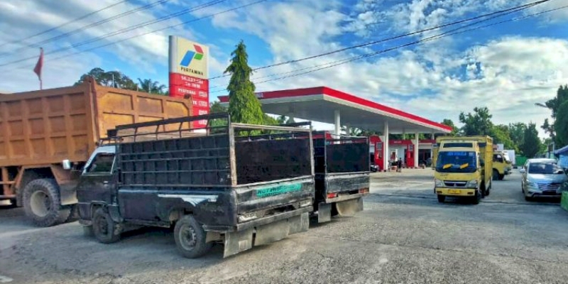 Sudah Berbulan-bulan, Truk Pengangkut TBS Sawit di Barsela Sulit Dapatkan Solar