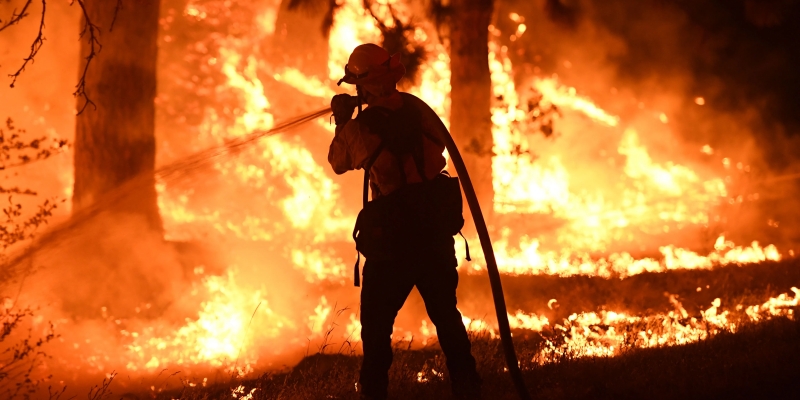 Selandia Baru Kerahkan Petugas Pemadam Tambahan untuk Bantu Kebakaran Hutan Kanada