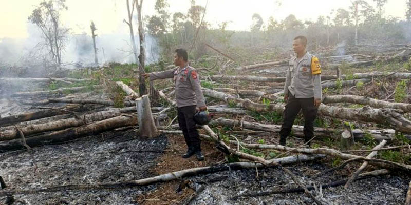 Buka Lahan dengan Dibakar, 3 Pelaku dan Pemilik Lahan Terancam 10 Tahun Penjara