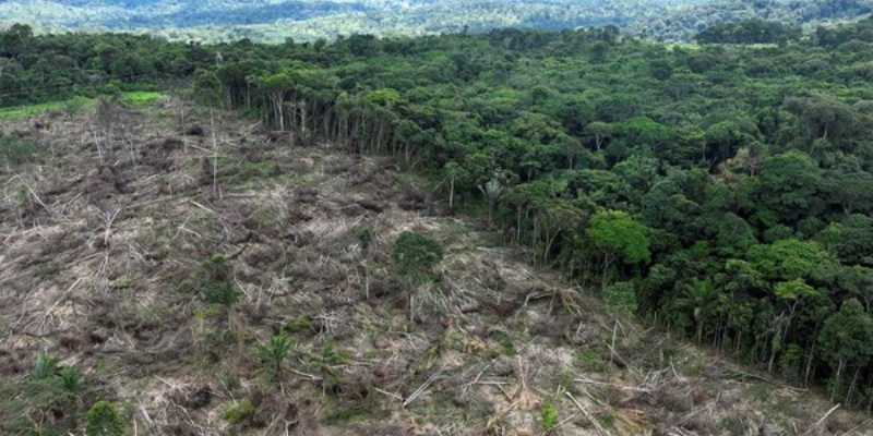 Lula da Silva Beberkan Rencana Aksi Hapus Deforestasi Amazon Brasil pada 2030