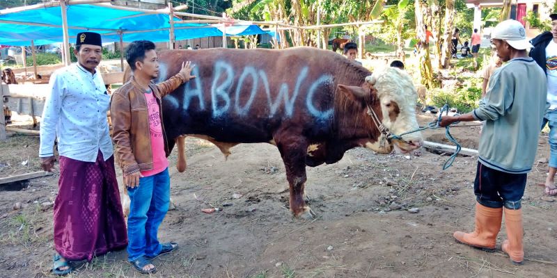 Prabowo Subianto Salurkan Hewan Kurban ke Ponpes dan Ormas Keagamaan di Jawa Timur