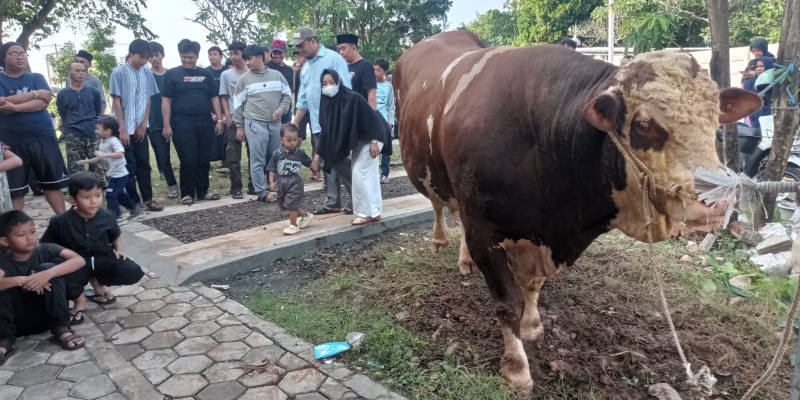 Berkurban Meski Sedang Haji, Warga Ungkap Keluarga Anies Banyak Tebar Manfaat