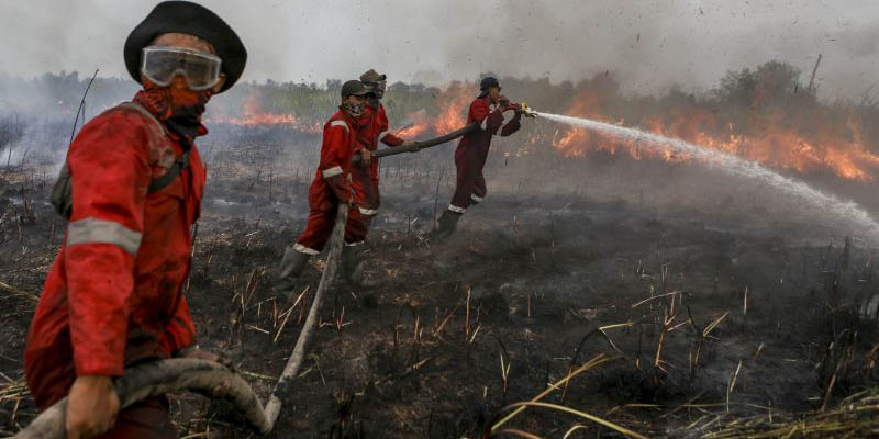 Buka Lahan dengan Cara Dibakar, Warga Terancam Denda Rp 10 Miliar dan Penjara 15 Tahun