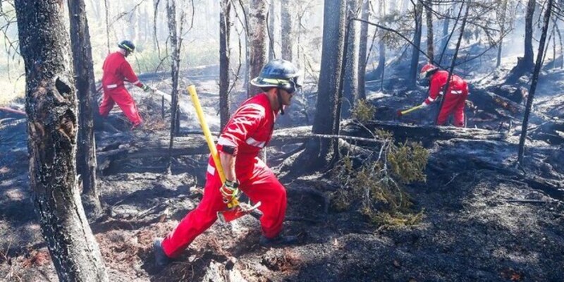 Hindari Kebakaran Berulang, Warga Nova Scotia Kanada Diimbau Hutan Pantai Atlantik