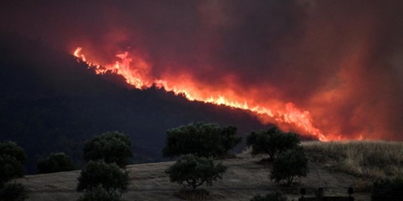 Tinggalkan Italia, Presiden Tunisia Langsung Kunjungi Korban Kebakaran Hutan