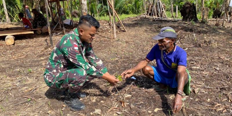 Satgas Yonif 143/TWEJ Siapkan Lumbung Kopi di Papua