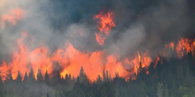 Record reached, Canadian wildfires burn 10 million hectares of land