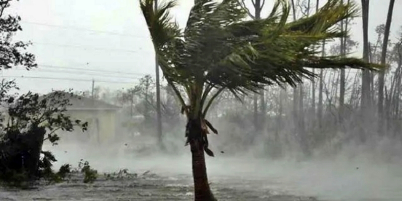 Bersiap Hadapi Badai Idalia, Florida Deklarasikan Keadaan Darurat