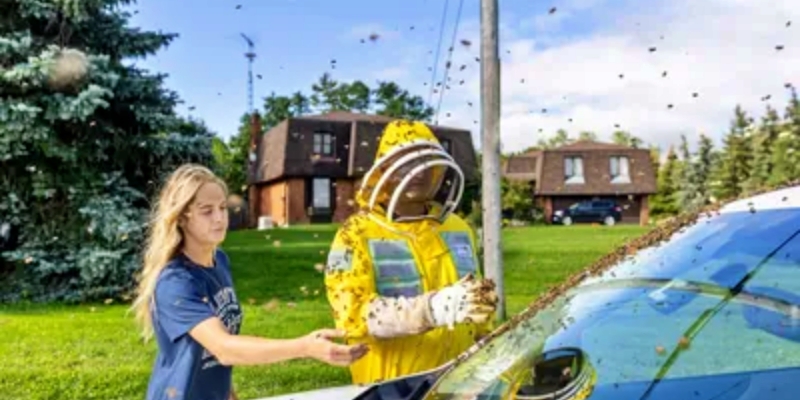 Picu Kekacauan, Truk di Toronto Tumpahkan Lima Juta Lebah