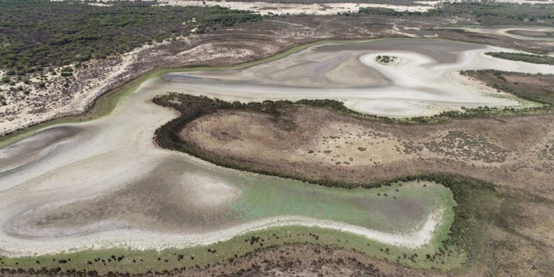 Laguna Donana Spanyol Mengering Dua Tahun Berturut-turut