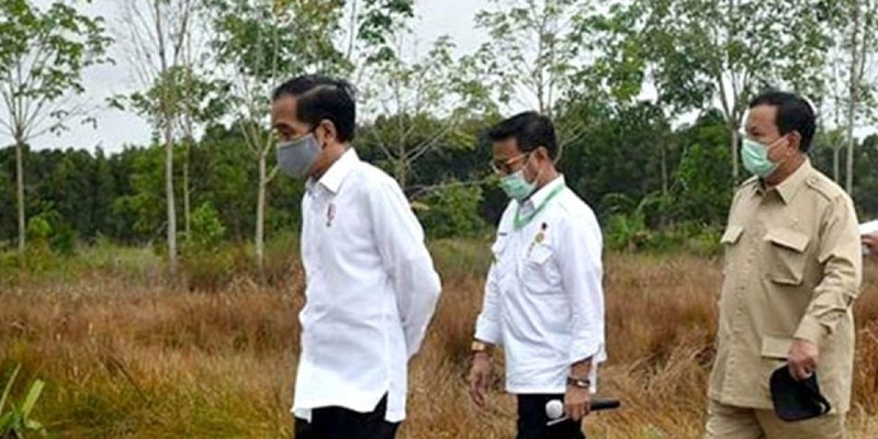 Isu Food Estate Jadi Genderang Perang PDIP Terhadap Jokowi