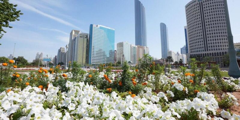 Tingkatkan Keindahan Kota, Abu Dhabi Tanam Lebih dari Lima Juta Bunga