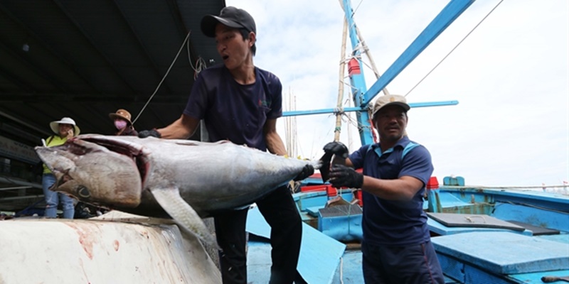 Ekspor Tuna Vietnam Diperkirakan Meningkat Akhir Tahun Ini