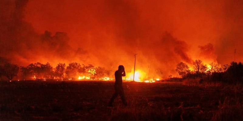 Api Makin Mengamuk Membakar Hutan Yunani, Ribuan Penduduk Athena Dievakuasi