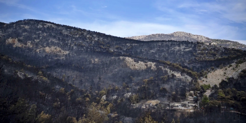 Masih Belum Terkendali, Kebakaran Hutan di Yunani Masuki Hari ke-11
