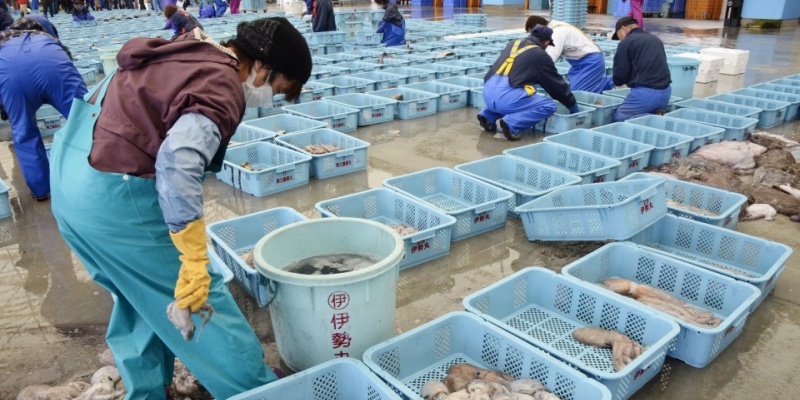 Air Limbah Nuklir Fukushima Dibuang ke Laut, Malaysia Pantau Impor Pangan dari Jepang