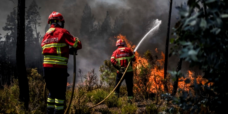 Kebakaran Hutan Portugal Meluas, Ratusan Pemadam Dikerahkan