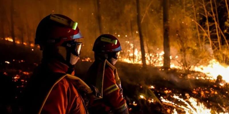 Lebih dari 3.000 Turis Dievakuasi karena Kebakaran Hutan