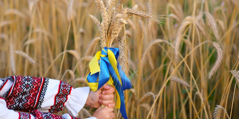 Ukraina Catat Peningkatan Ekspor Biji-bijian di tengah Embargo Lima Negara Eropa