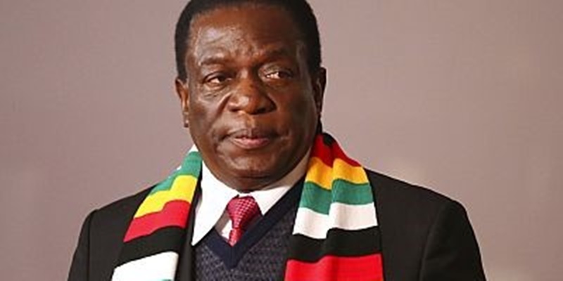 Nepotisme di Zimbabwe, Presiden Mnangagwa Tunjuk Putra dan Keponakan sebagai Wakil Menteri