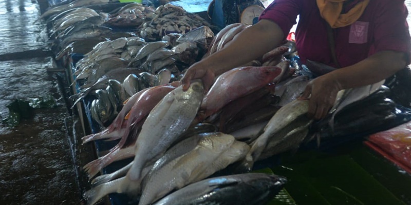 Sukseskan Penangkapan Ikan Terukur, KKP Kebut Program Digitalisasi