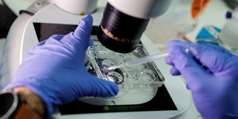 Ilmuwan Israel Ciptakan Embrio Manusia Tanpa Rahim dan Sperma