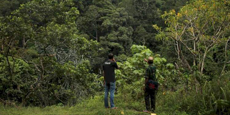 Sore ini, SK Penetapan Hutan Adat Aceh Diserahkan Jokowi