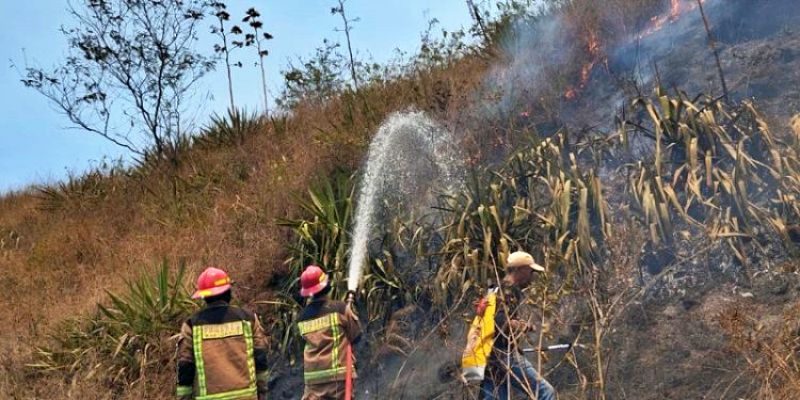 Kebakaran Hutan di Tarogong Garut, Satu Warga Terluka saat Padamkan Api