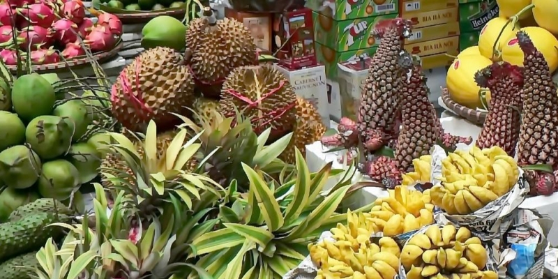 Ekspor Durian Vietnam Meningkat Tajam, Mencapai 300.000 Metrik Ton