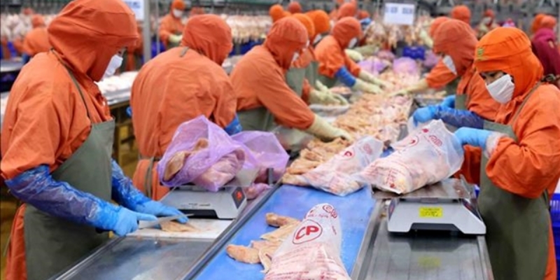 Sembilan Bulan Pertama 2023, Sektor Pertanian Vietnam Surplus Mencapai Rp 125 Triliun