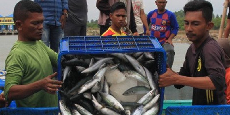 Lindungi Pekerja Perikanan, DFW Indonesia Soroti Implementasi Stranas BHAM