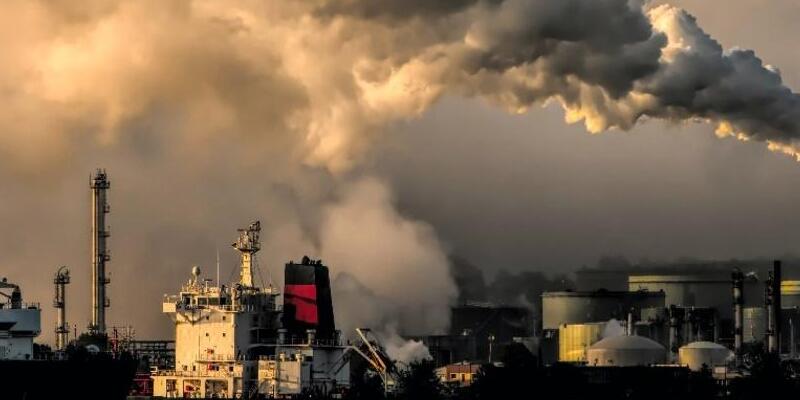 India Dorong Negara Maju Capai Negatif Karbon Sebelum Tahun 2050