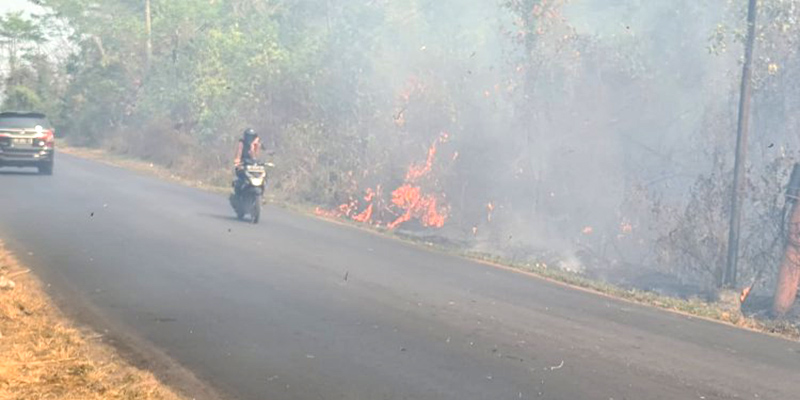 Kebakaran Lahan di OKU Timur Ganggu Jarak Pandang, Petugas Tak Terlihat