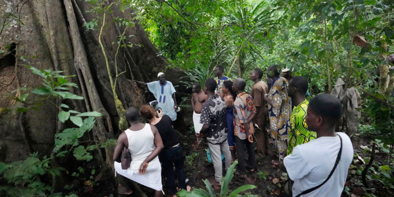 Deforestasi Ancam Kelestarian Hutan Keramat Vodoo di Benin