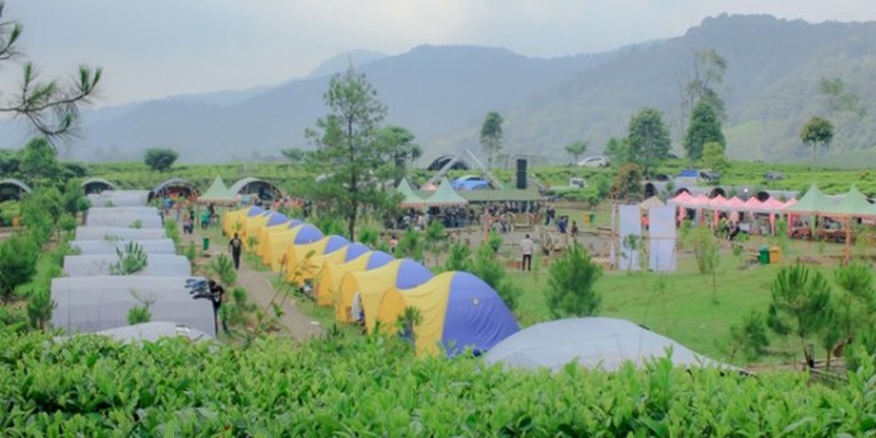 Event Jambore Nasional 2023 di Kawasan Puncak Bogor Turut Kembangkan Desa Wisata