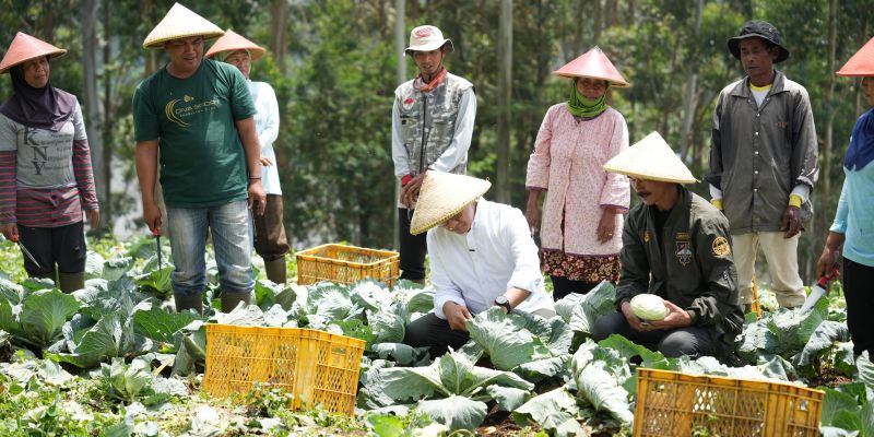 Bukan <i>Food Estate</i>, Anies Tawarkan Konsep <i>Contract Farming</i> agar Petani Sejahtera