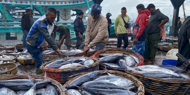 Harga Ikan di PPS Lampulo Stabil, Nelayan Untung