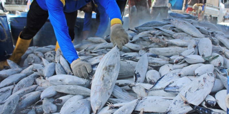 KKP: Ekspor Perikanan Indonesia Mencapai Rp 64,3 T di 2023