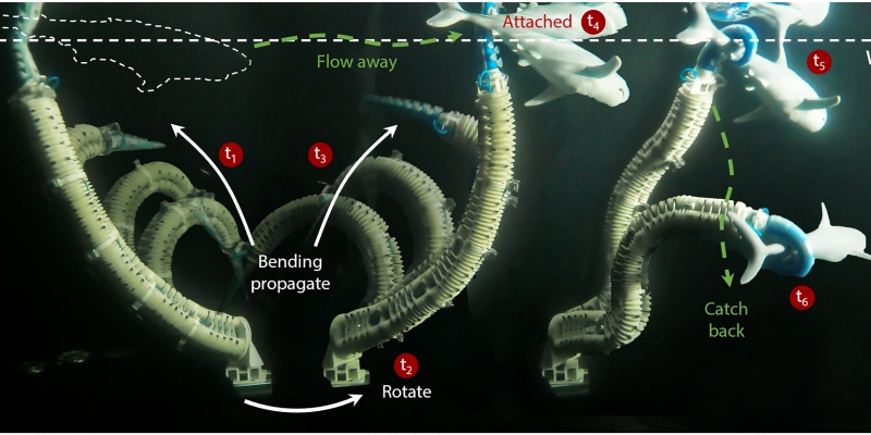 Tentakel robotik lembut yang terinspirasi gurita dapat menangkap benda kecil di udara atau air/Net