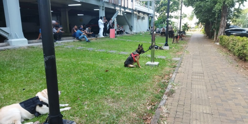 Belasan anjing pelacak ikut mengawal jalannya debat Cawapres 2024 di JCC Senayan, Jakarta/RMOL