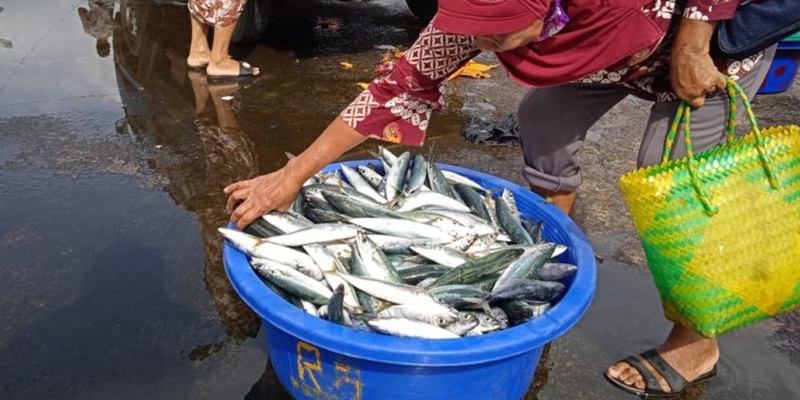 Dinilai Minim Kajian dan Sulitkan Nelayan, Kommari Sambut Baik Penundaan PIT