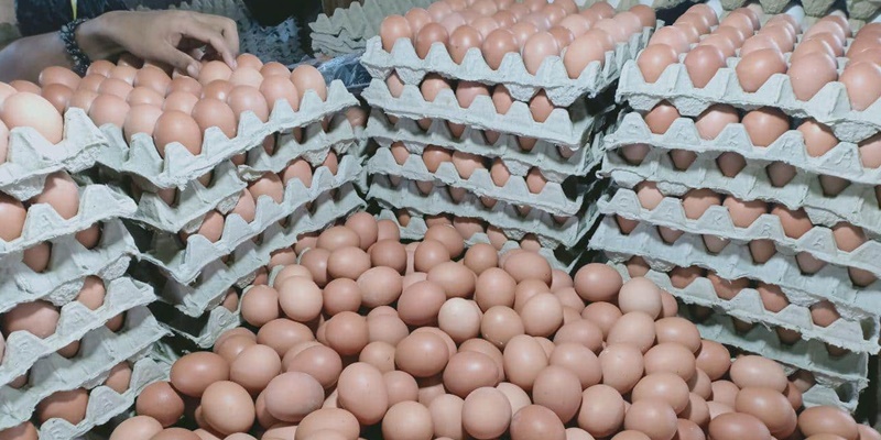 Harga Telur Di Lahore Pakistan Melonjak Hingga 400 Rupee Perlusin