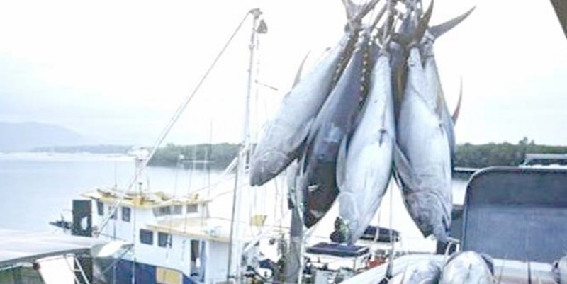 DPD Dukung Kebijakan Penangkapan Ikan Berkelanjutan
