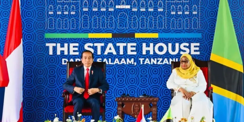 Indonesia-Tanzania Perkuat Kerja Sama, Tingkatkan Investasi Energi