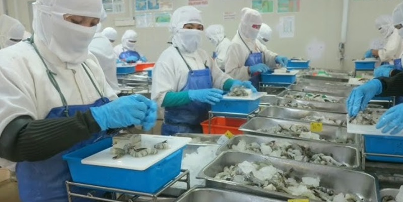 Disertai Sertifikat Kelayakan, Bisnis Pengolahan Ikan Makin Moncer