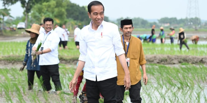 Jokowi Bakal Tambah Kuota Pupuk Subsidi Jadi 9,5 Juta Ton di 2024